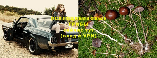экстази Аркадак