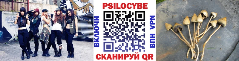 купить наркотики сайты  Белая Калитва  ОМГ ОМГ как зайти  Галлюциногенные грибы Cubensis 